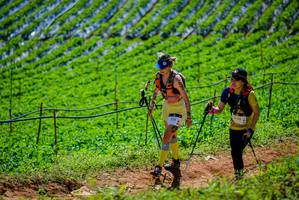 BIB: 3139
                            <button type="button" onclick="openModal(19164307)" class="btn btn-primary btn-sm float-right btn-popup" data-toggle="modal" data-target=".modal-high-quality">
                        <i class="fas fa-shopping-cart"></i> Add to Cart
                    </button>
                                            <button type="button" onclick="isThisMe(19164307, true)" class="btn btn-success btn-sm float-right btn-popup btn-isme hidden" data-toggle="tooltip" data-placement="bottom" title="นี่คือรูปของคุณใช่ไหม คลิกที่นี่เพื่อเอาเข้าอัลบั้ม">
                        <i class="fas fa-plus"></i> Add to album
                    </button>
                    <button type="button" onclick="isThisMe(19164307, false)" class="btn btn-warning btn-sm float-right btn-popup btn-isnotme hidden">
                        <i class="fas fa-ban"></i> Remove from album
                    </button>